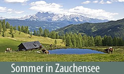 Sommer in Zauchensee